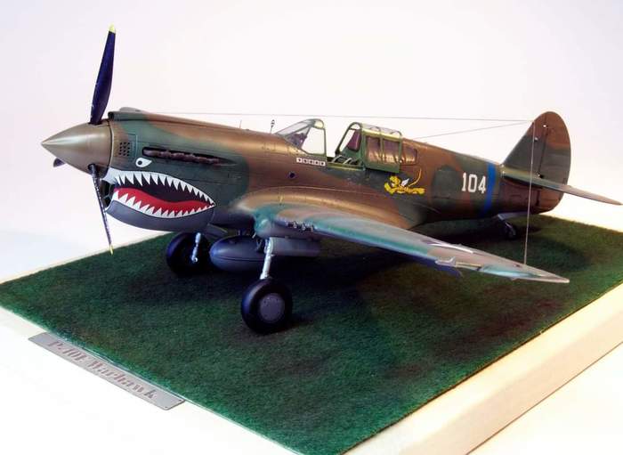 Curtiss P-40 Warhawk 1/48 Hasegawa+PE Eduard  ,  , , , 