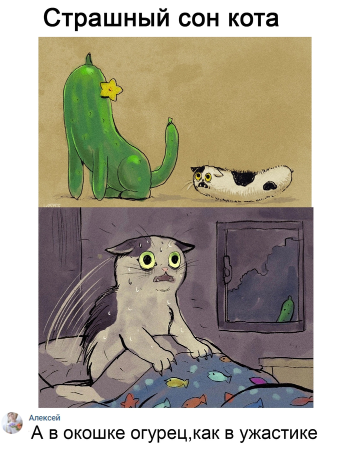 Страшный сон котика