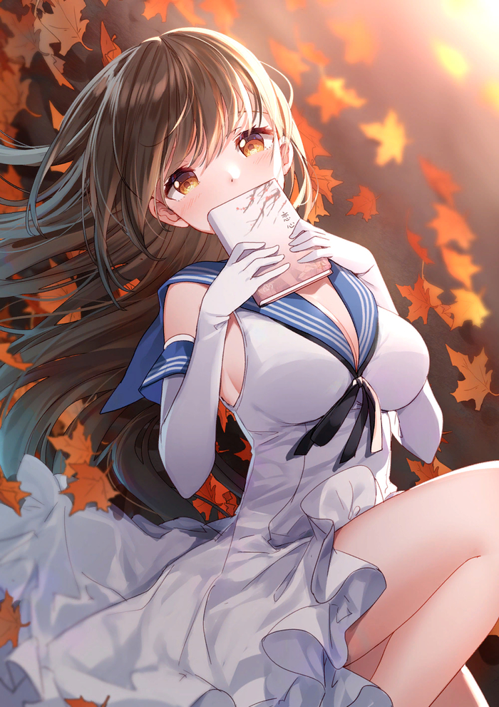   Warship Girls R, Hermes, Anime Art, 