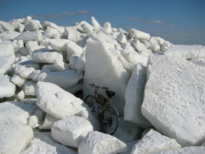 ���� �������