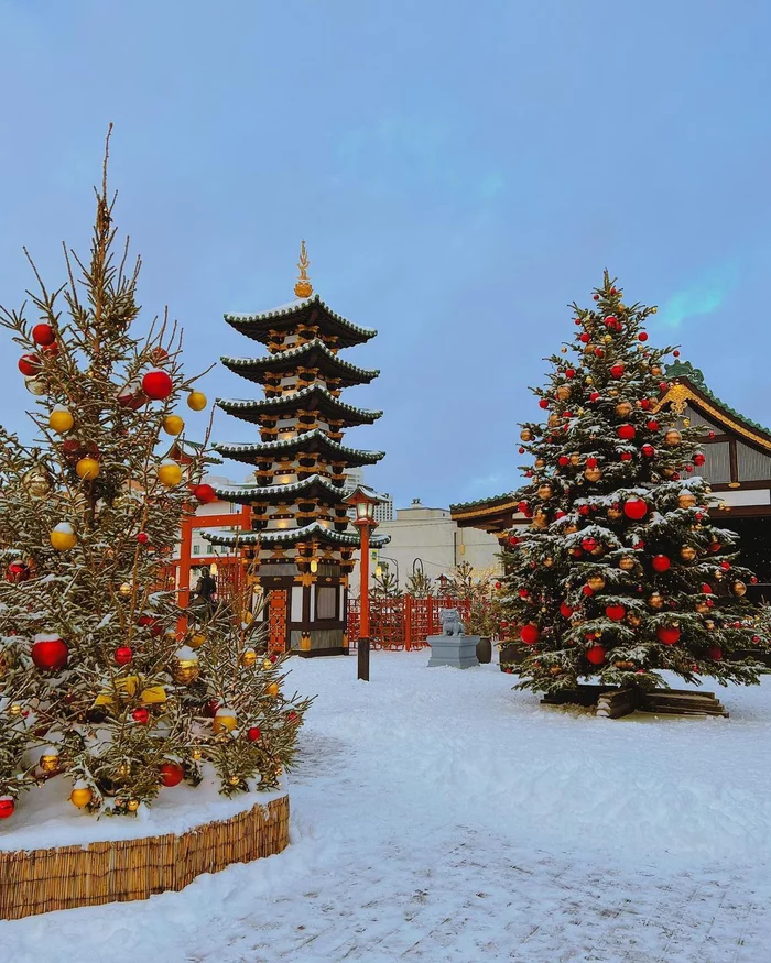 Japanese New Year Fair in Kurkino - Moscow, Capital, beauty, Winter, The photo, Holidays, Japan