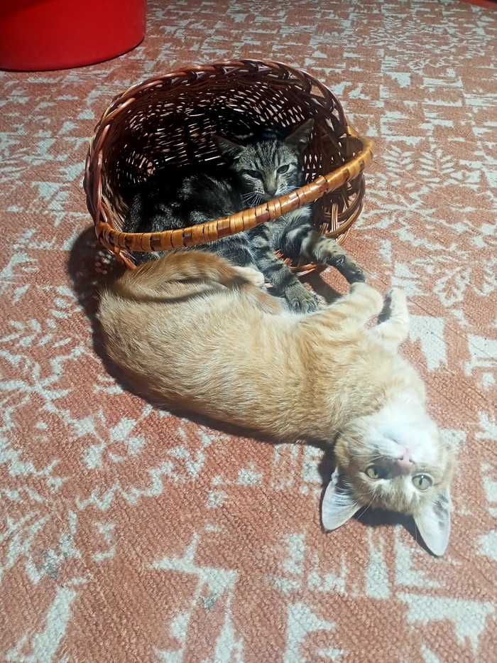   , ,  