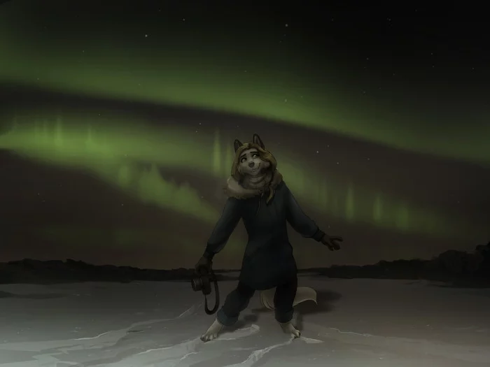 northern Lights - Furry, Anthro, Art, Furry canine, Ariadog