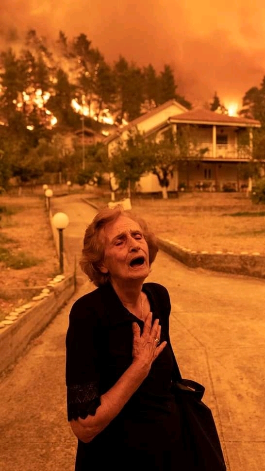 ������ ������� ������ 2021 ����. ����� � ������