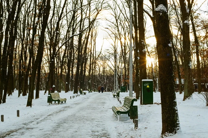 Kyiv, Holosiivskyi Park - My, The photo, camera roll, The film did not die, Nikon, Kodak, Winter, The park, Snow, Lake, Wild ducks, Nature, Longpost
