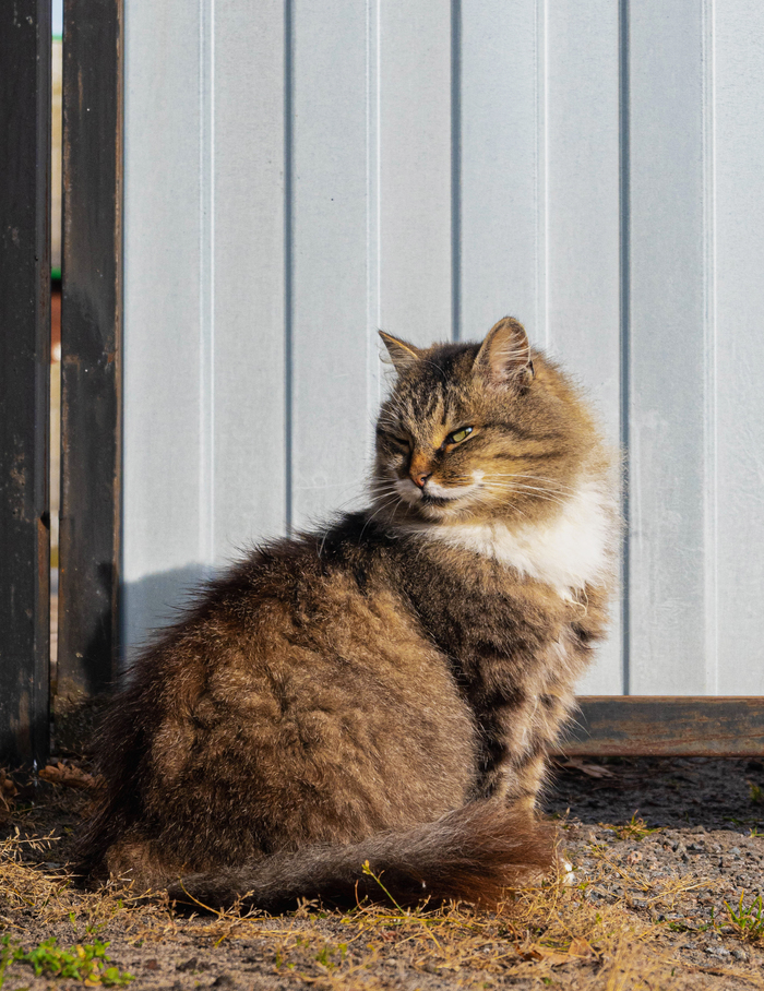 вот как то так дрейк. Смотреть фото вот как то так дрейк. Смотреть картинку вот как то так дрейк. Картинка про вот как то так дрейк. Фото вот как то так дрейк вот как то так дрейк. Смотреть фото вот как то так дрейк. Смотреть картинку вот как то так дрейк. Картинка про вот как то так дрейк. Фото вот как то так дрейк