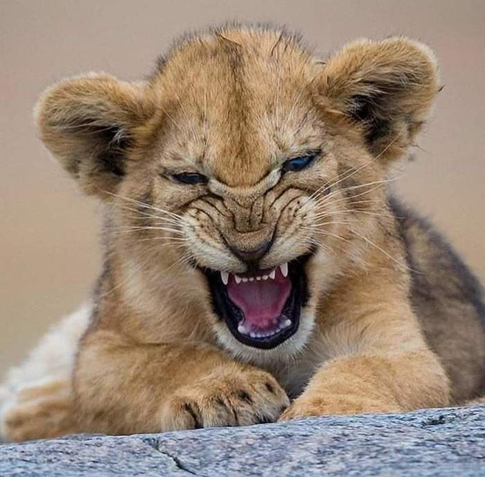 ��� �������� �� ��� �����?