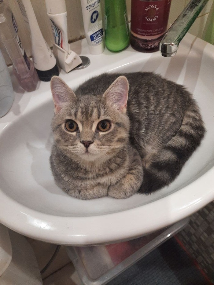 ��� ����� ���� � ������ �����