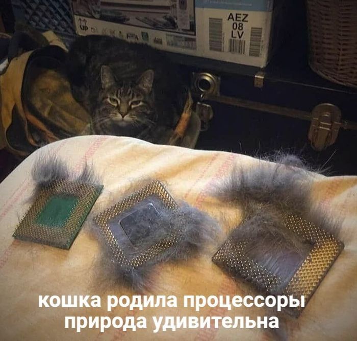 ������� 2022