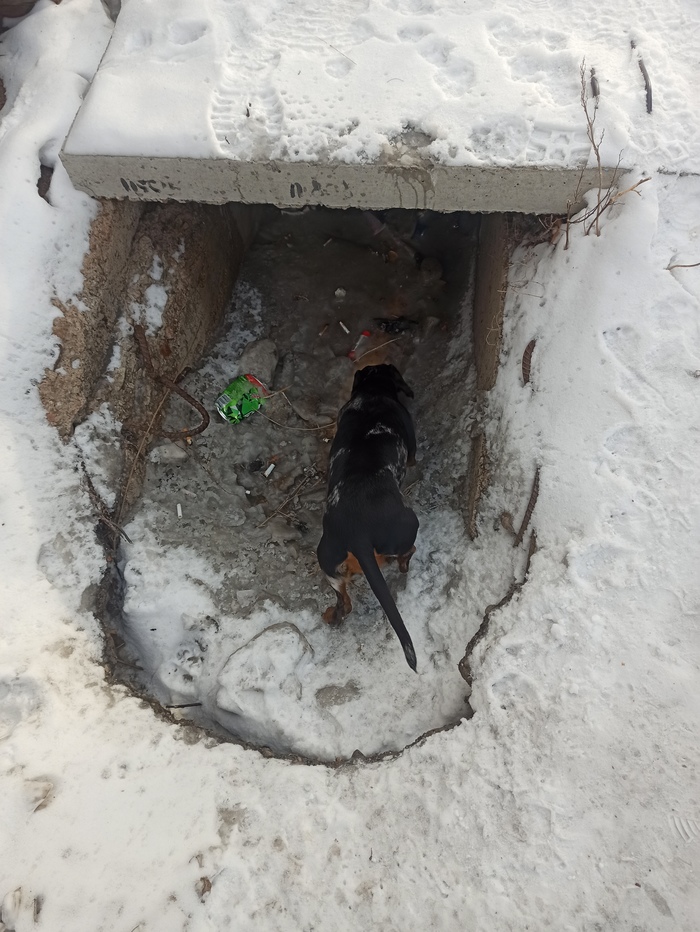 � ���� �������� ���� ���������