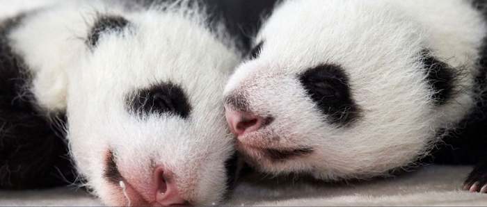 ������ ������� ������ 2021 ����.� � � � � � � � � � � � � � � � � � � � � � � � � � � � � � � � ������-��������