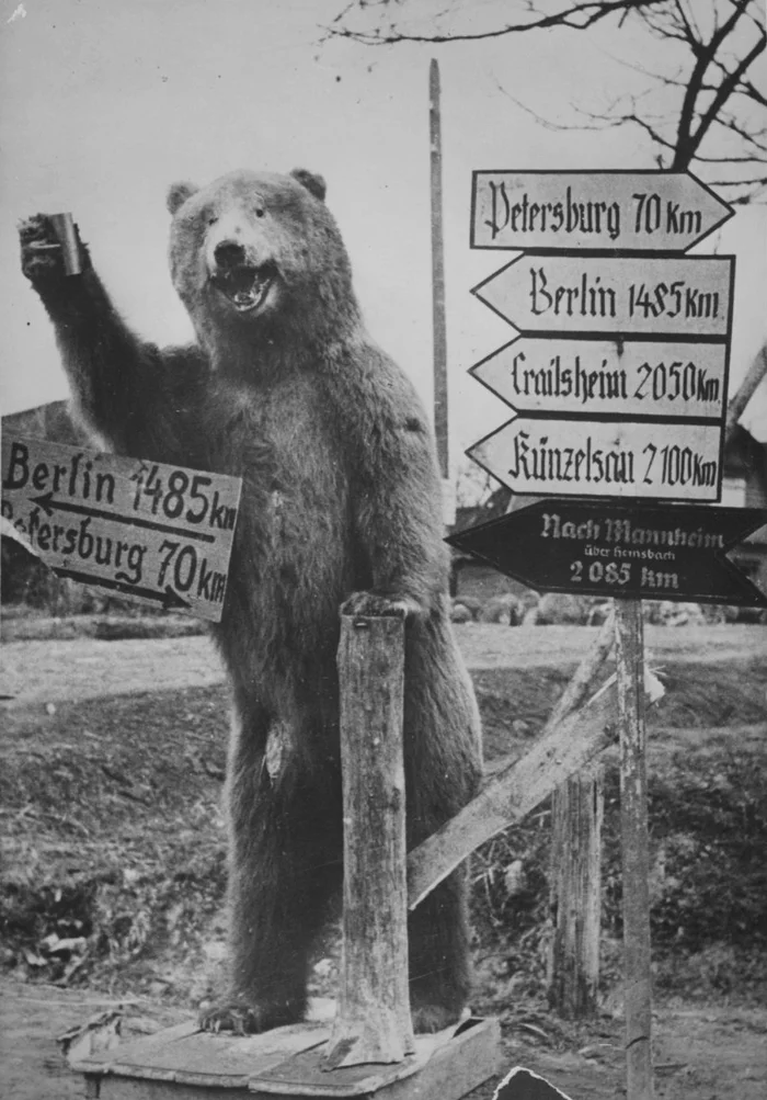 German road sign in the vicinity of Leningrad - The Great Patriotic War, Scarecrow, The Bears, Historical photo, Leningrad region, Pointer, Road signs, Longpost, Wehrmacht, Luftwaffe