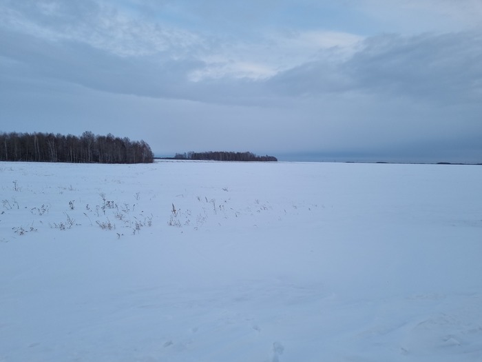 Осматривая владения