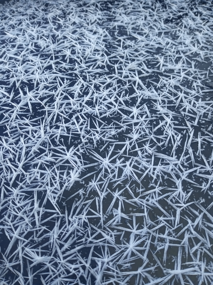 ���������� ���������