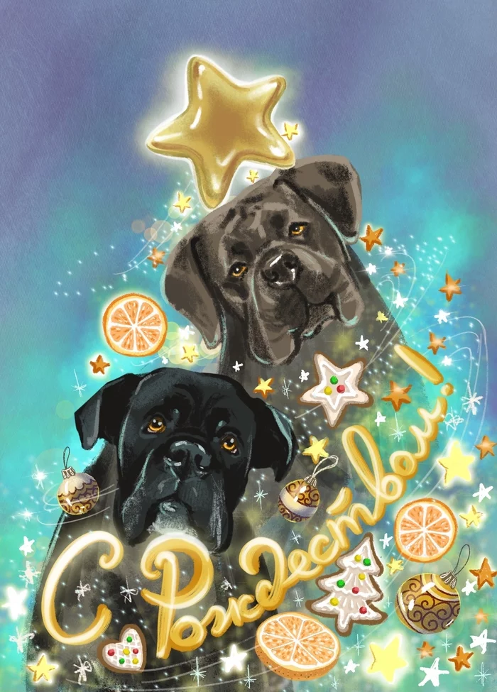 Cane Corso - My, Cane Corso, Art, Postcard, Dog lovers