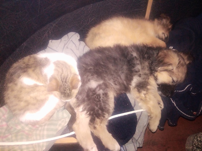 �����, ������� ������. �����������