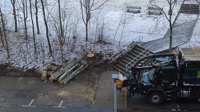 Logging under my window - My, Tree, Video, View from the window, The street, Technics