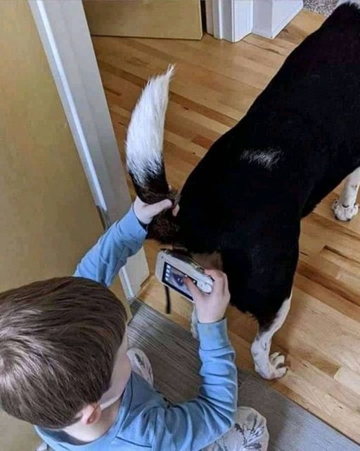 Заглядываем во внутренний богатый мир