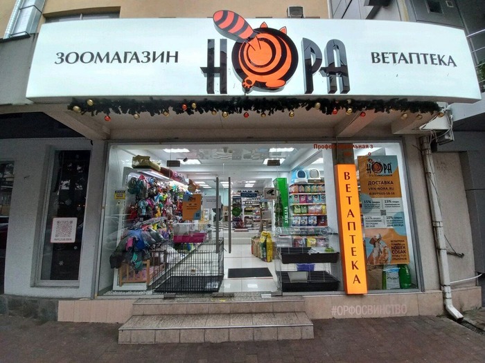 Тема «норы» раскрыта полностью. Сочи