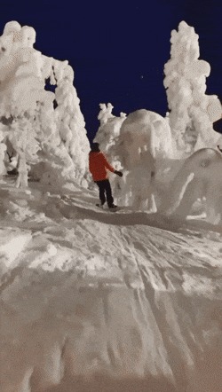   , , , 