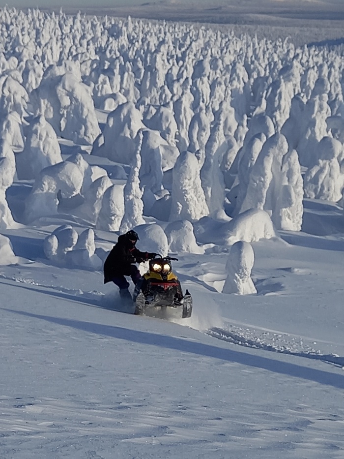 � ����� �������� ������ �������� ����