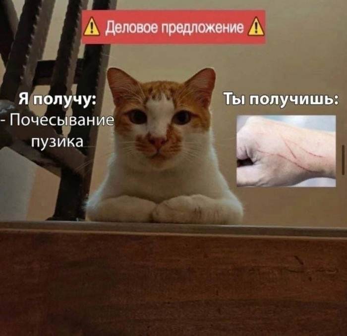  , , Dank Memes, 