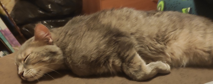 Устал после тренировки