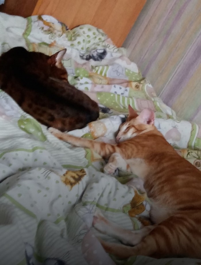    , , , , , 