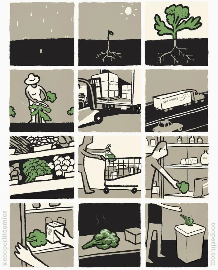The Sad Story of Broccoli - Vegetables, Comics, Drawing