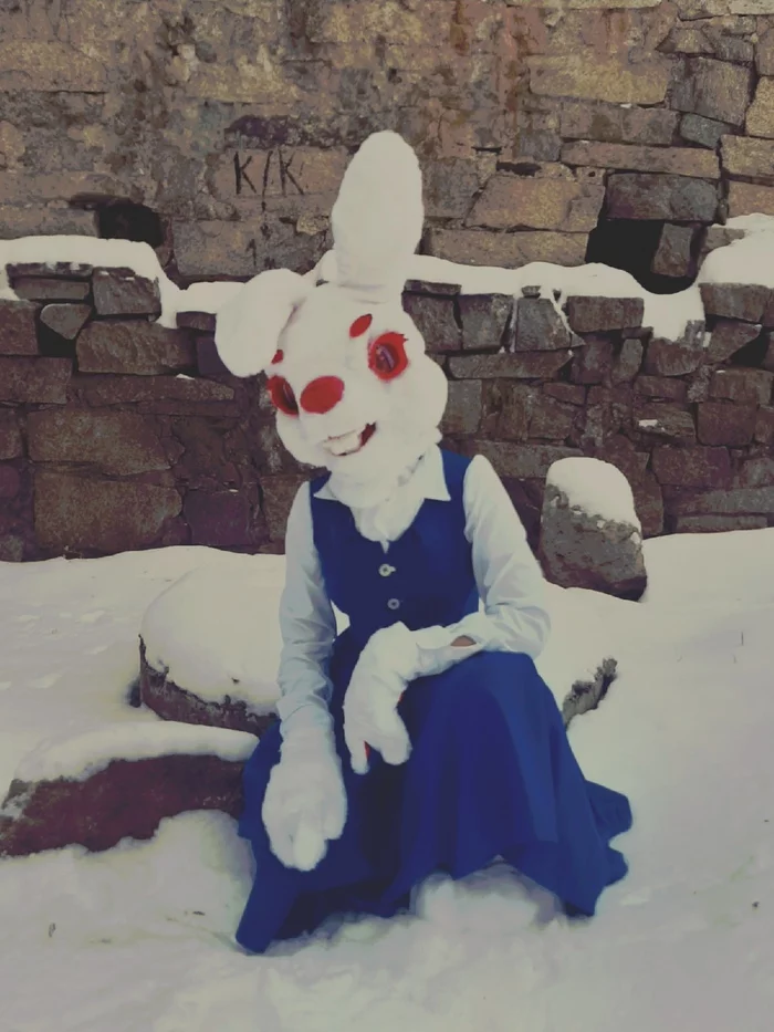 The first attempt to create fursuits - Fursjoot, Alice in the Wonderland, White Rabbit, Rabbit, Cosplay, With your own hands, Longpost, Needlework without process, Furry