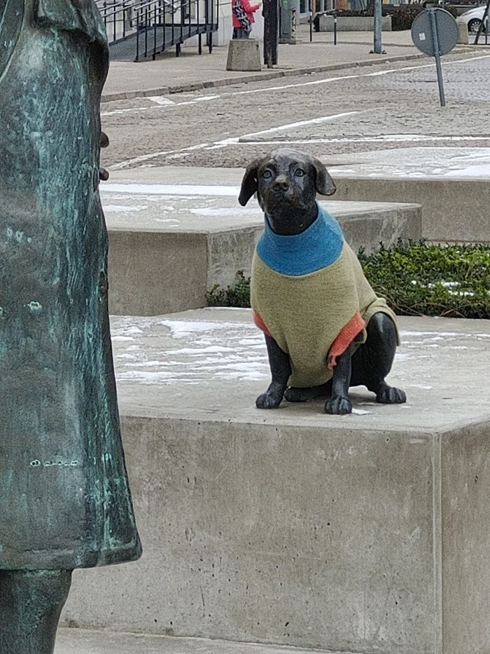 Response to the post Someone could not pass by just like that - Clothes for animals, Pullover, Longpost, Reply to post, The photo, Sculpture, Dog, My
