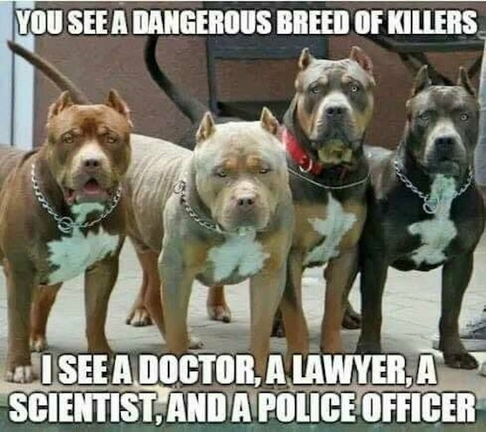 Нет расизму