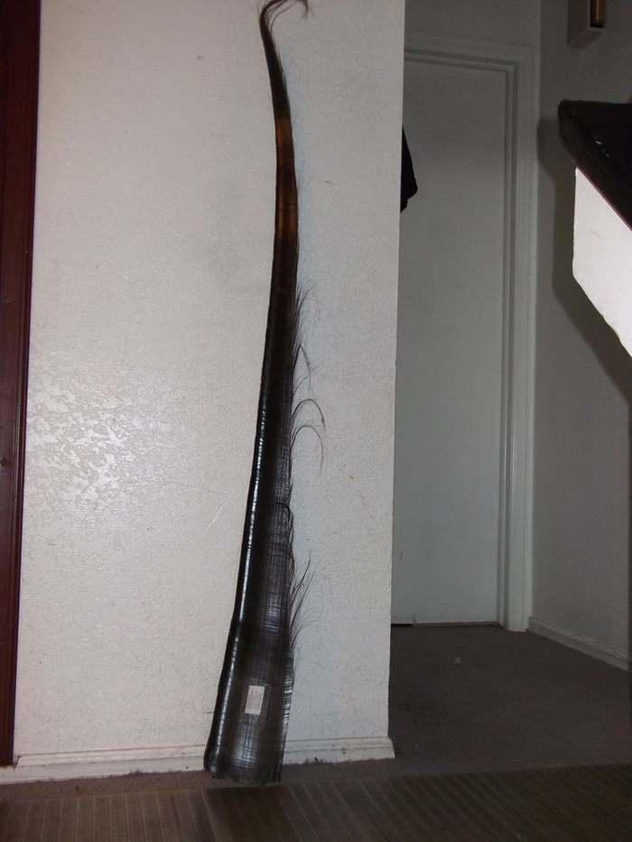 Что это за штука - 145 Reddit, Перевел сам, WhatIsThisThing, Длиннопост Что это за штука - 145 Reddit, Перевел сам, WhatIsThisThing, Длиннопост