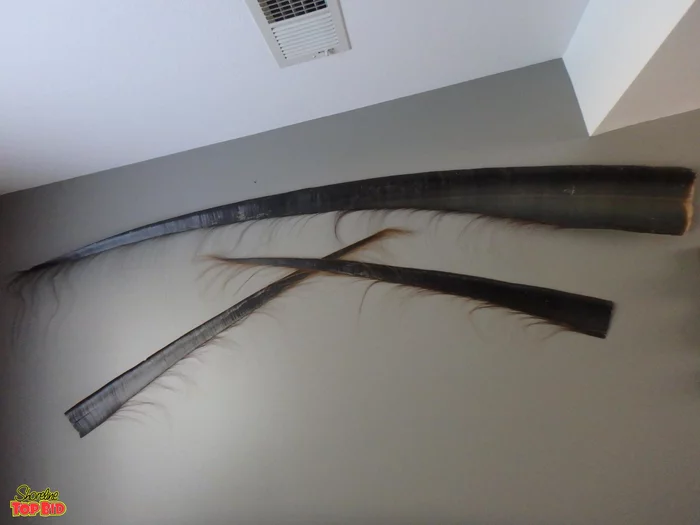 Что это за штука - 145 Reddit, Перевел сам, WhatIsThisThing, Длиннопост Что это за штука - 145 Reddit, Перевел сам, WhatIsThisThing, Длиннопост