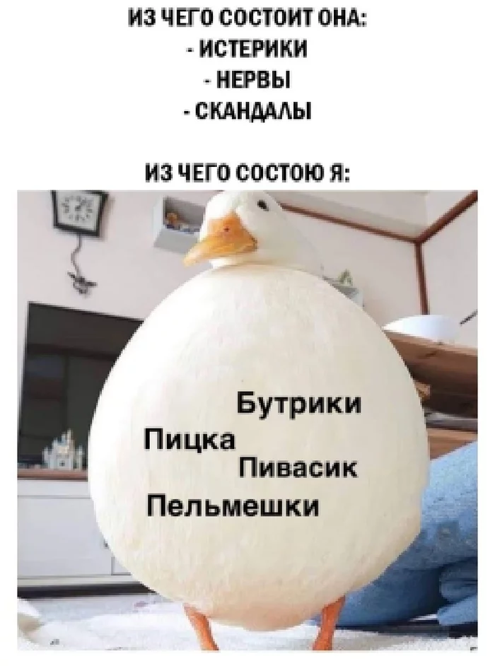 Food & Drink - Memes, Images, Duck
