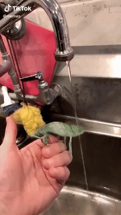   , , , 