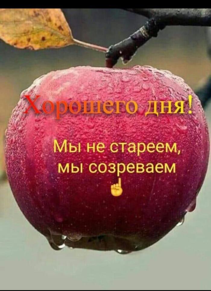 �� ������ ������