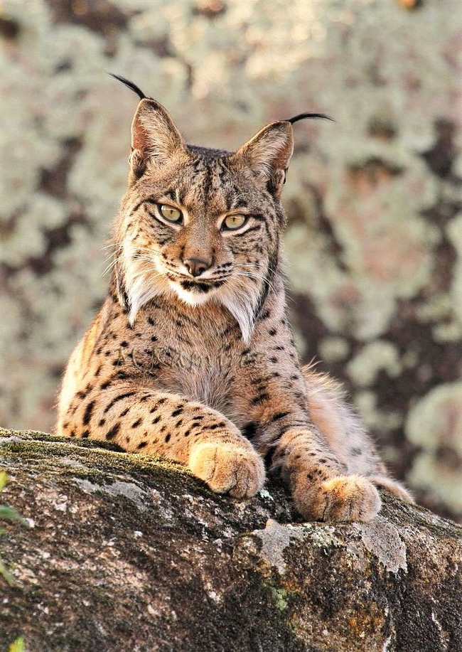 ����� �� ������ � ������ ���