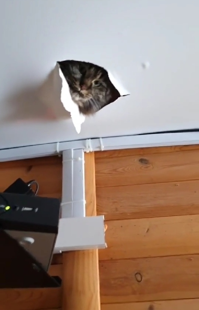 ������ �.. ��!