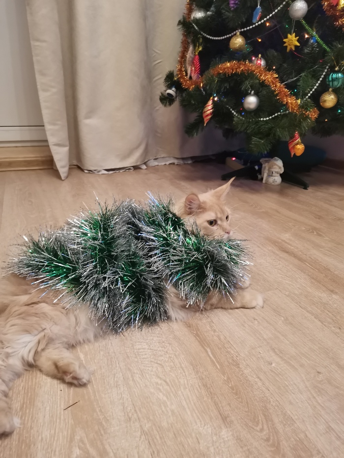 &quot;  !&quot; *  10 