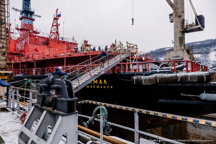 Как устроен быт на одном из самых мощных атомных ледоколов в мире Корабль, Ледокол, Ямал, Яндекс Дзен, Длиннопост Как устроен быт на одном из самых мощных атомных ледоколов в мире Корабль, Ледокол, Ямал, Яндекс Дзен, Длиннопост