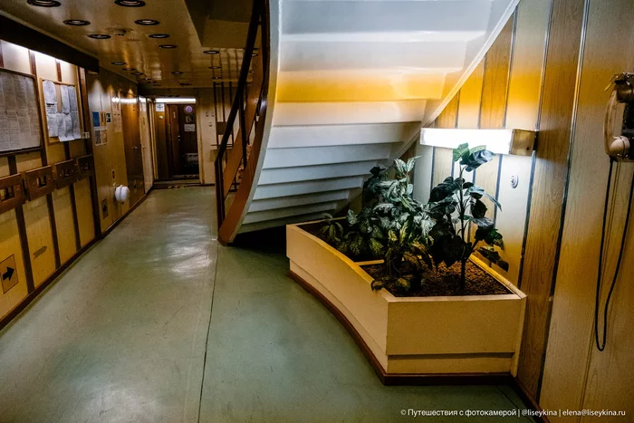 Как устроен быт на одном из самых мощных атомных ледоколов в мире Корабль, Ледокол, Ямал, Яндекс Дзен, Длиннопост Как устроен быт на одном из самых мощных атомных ледоколов в мире Корабль, Ледокол, Ямал, Яндекс Дзен, Длиннопост