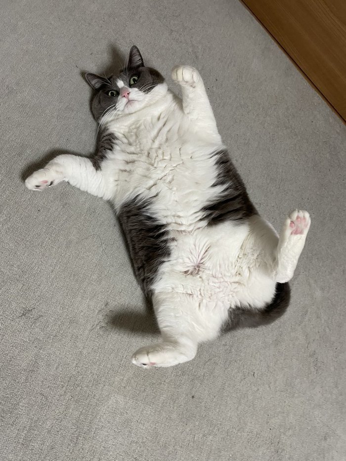 Вот это его расколбасило