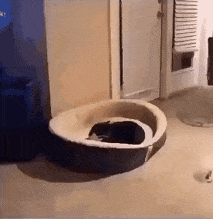   , , , 