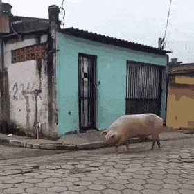   , , , 