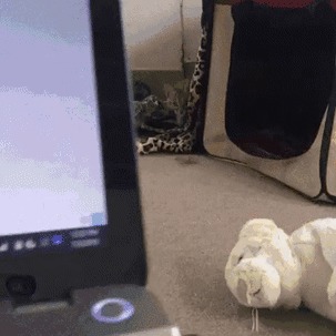   , , , 