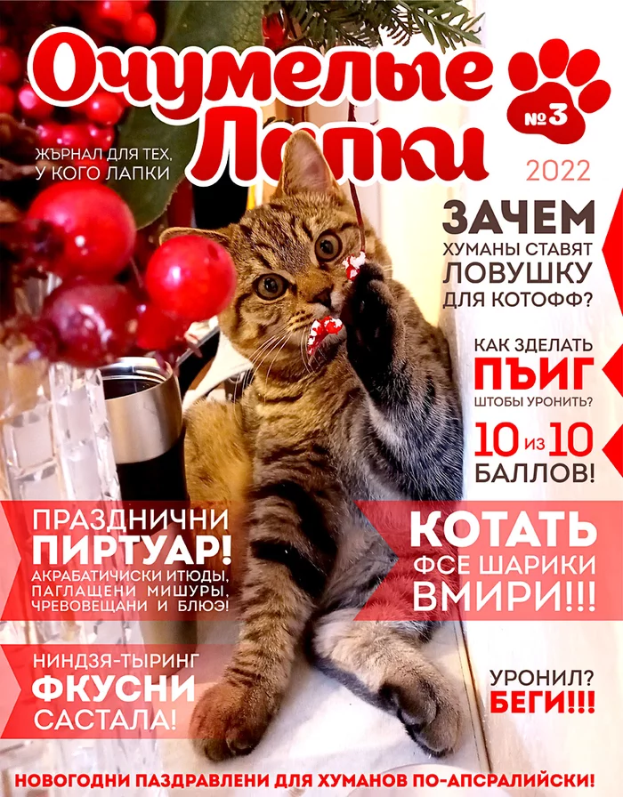 FREAKY PAWS - My, cat, Magazine, Humor, Paws, New Year