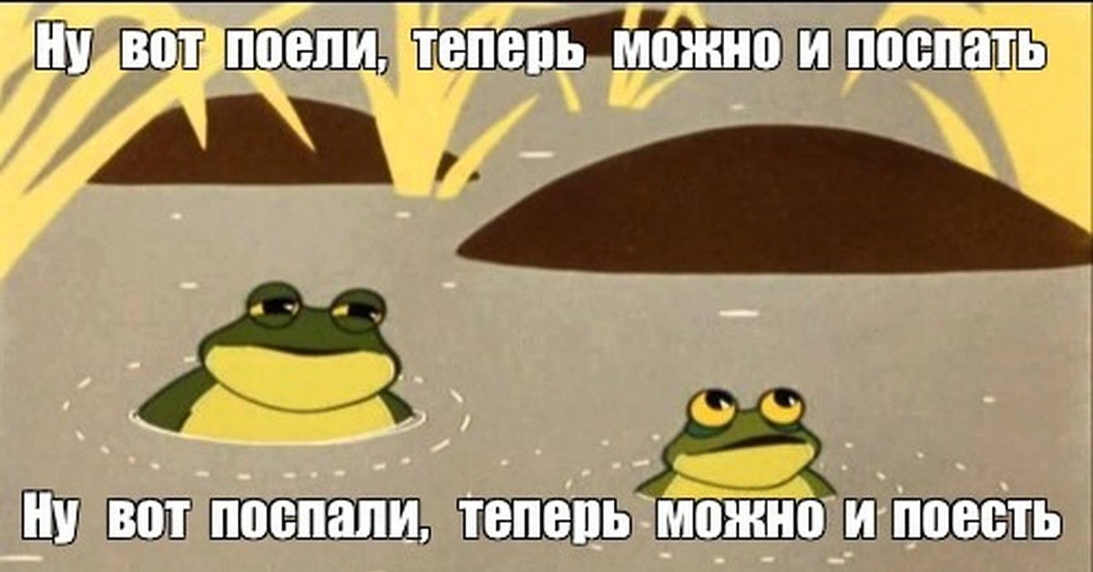 Дальше бога нет жаба