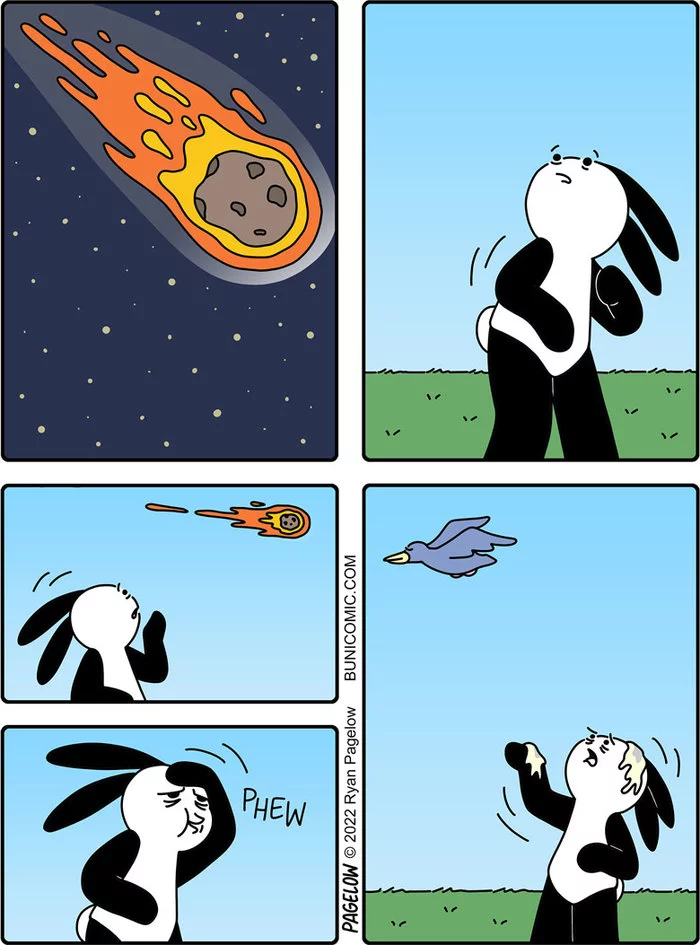 Lucky - Buni, Pagelow, Meteorite, Birds, Luck, Carried, Comics, Web comic, Lucky, Almost crushed