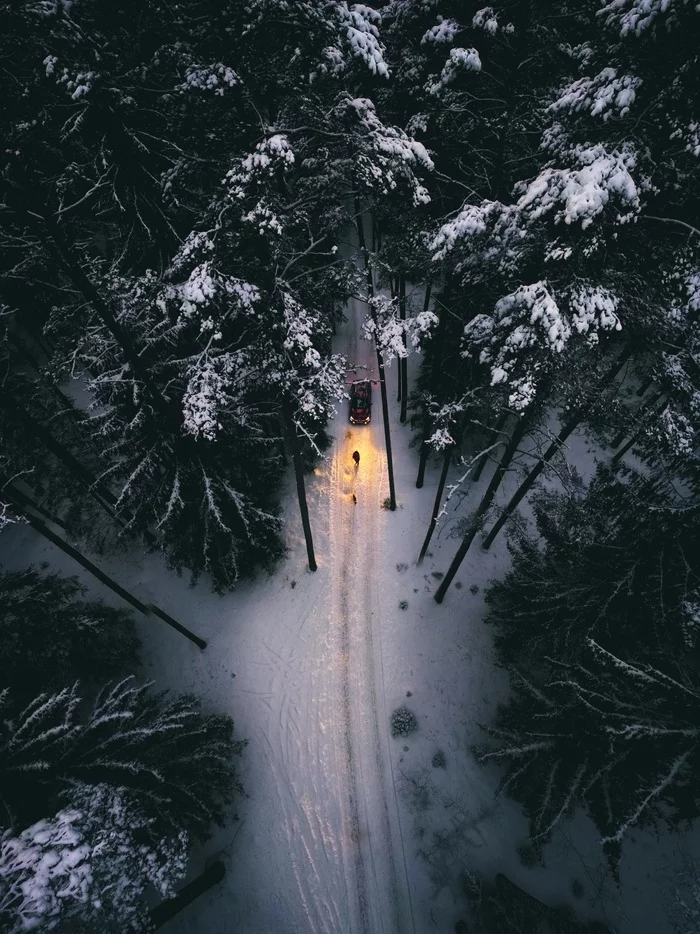 Evening forest - My, Drone, Aerial photography, Quadcopter, Dji, Travels, Baltics, Nature, The photo, Auto, Forest, DJI mini 2, Longpost